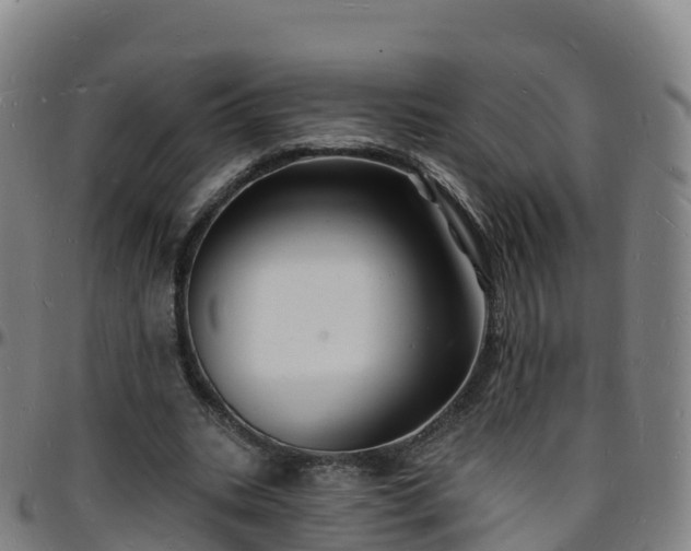 X0000096390535200801311323