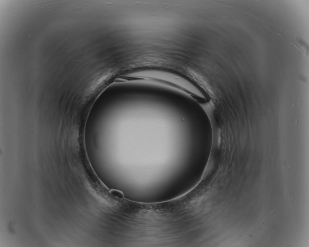 X0000096390538200801311323