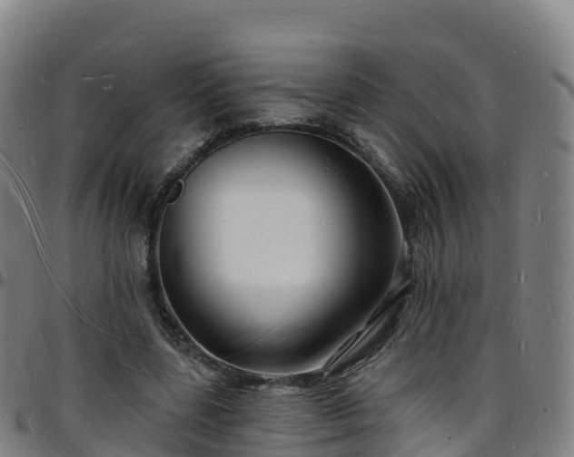 X0000096390539200801311323