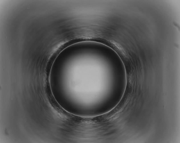 X0000096390540200801311323