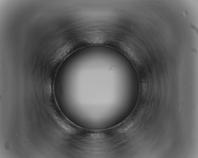 X0000096390541200801311323