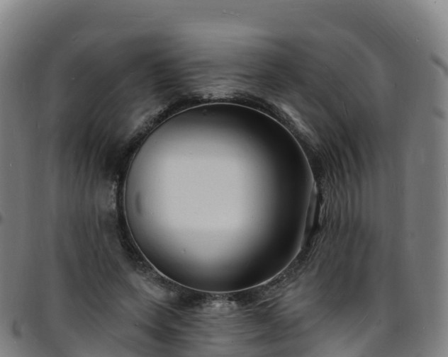 X0000096390543200801311323