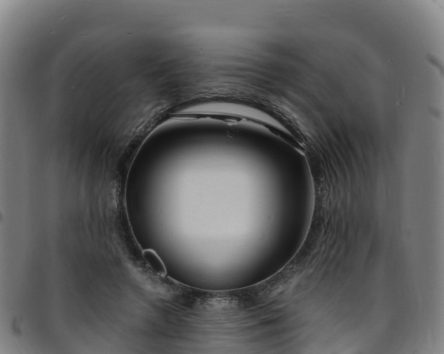 X0000096390546200801311323