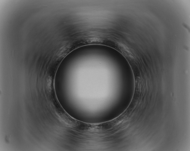 X0000096390550200801311323