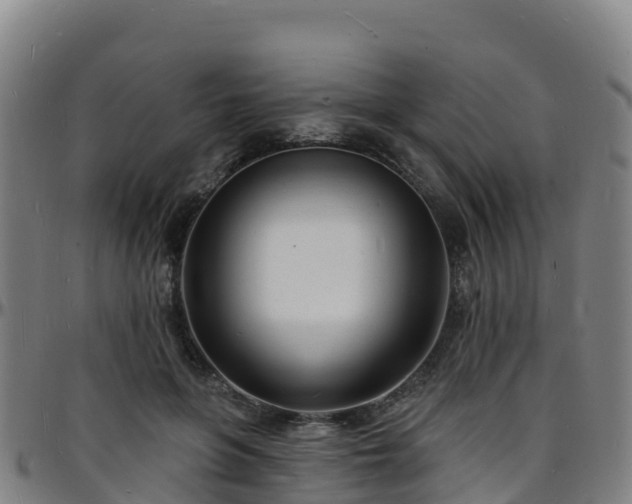 X0000096390551200801311323
