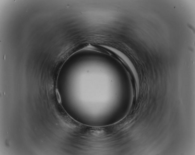 X0000096390552200801311323