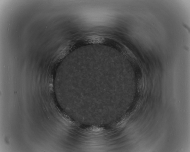 X0000096390553200801311323