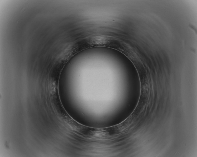 X0000096390555200801311323