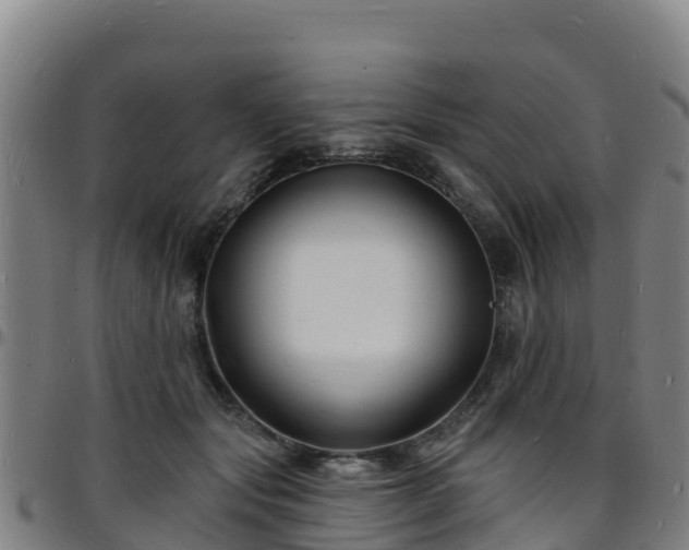 X0000096390557200801311323