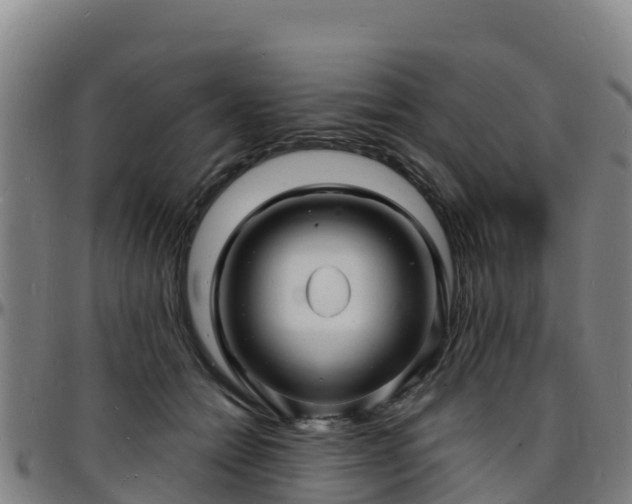 X0000096390558200801311323
