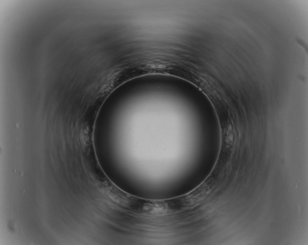X0000096390559200801311323