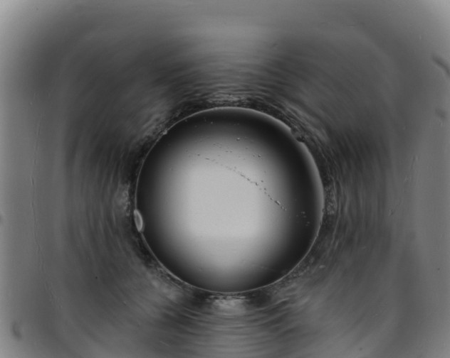X0000096390560200801311323