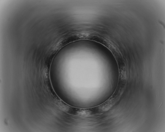 X0000096390561200801311323