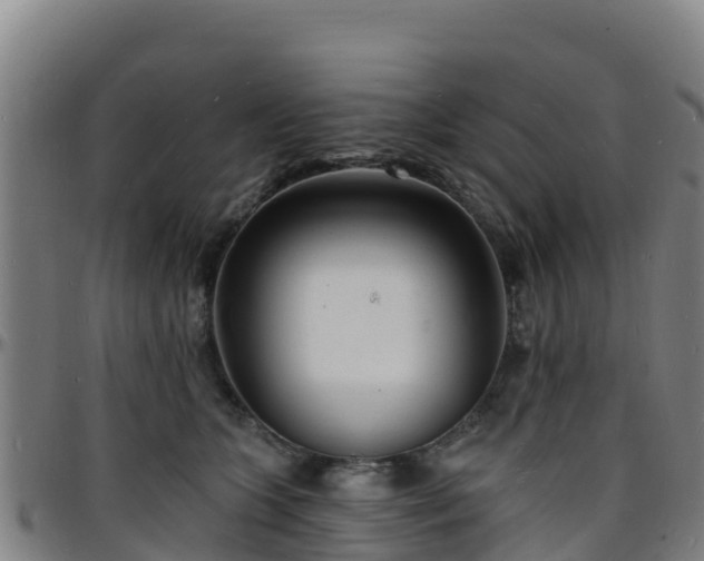 X0000096390563200801311323