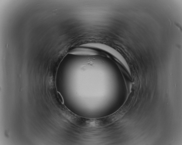 X0000096390564200801311323