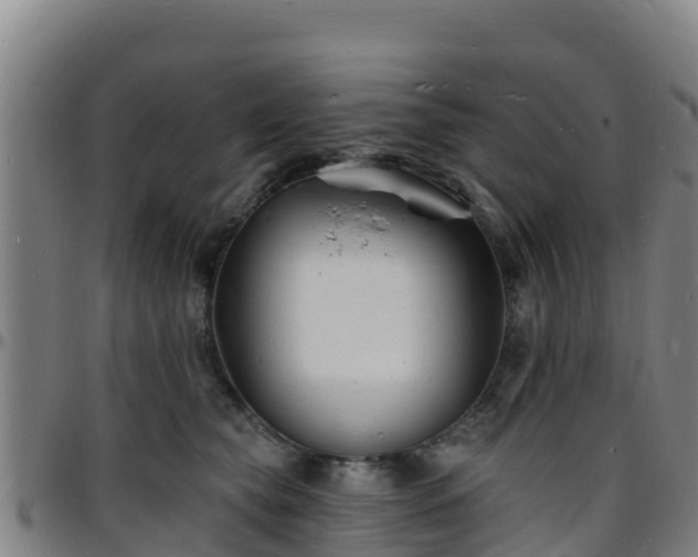 X0000096390565200801311323