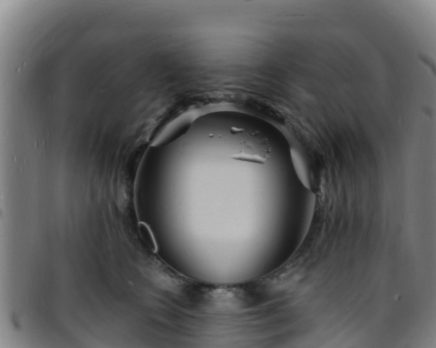 X0000096390566200801311323