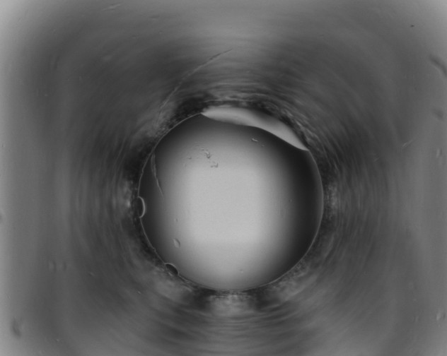 X0000096390567200801311323