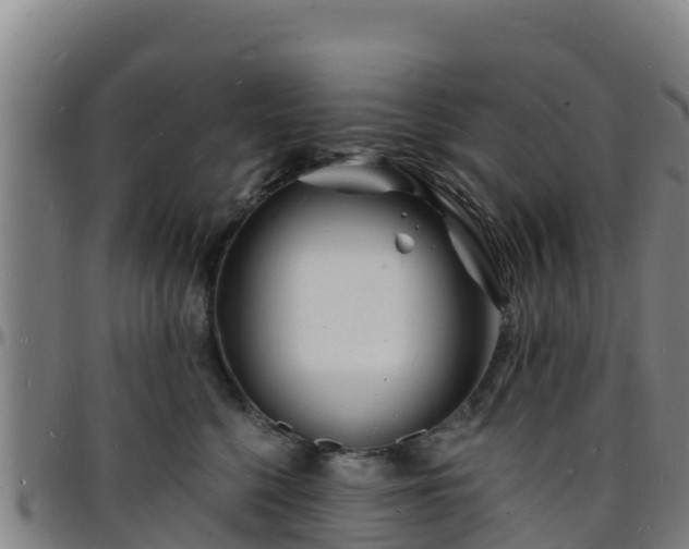 X0000096390568200801311323