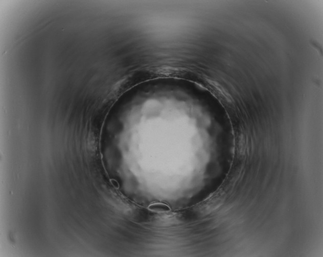 X0000096390569200801311323