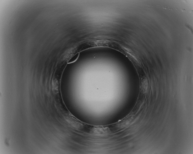 X0000096390571200801311323