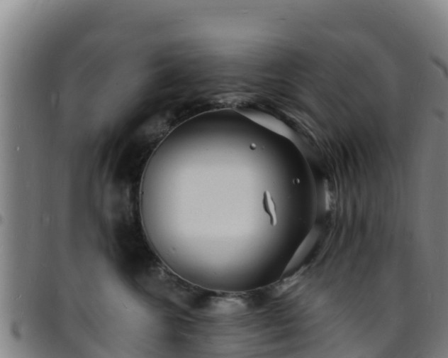 X0000096390572200801311323