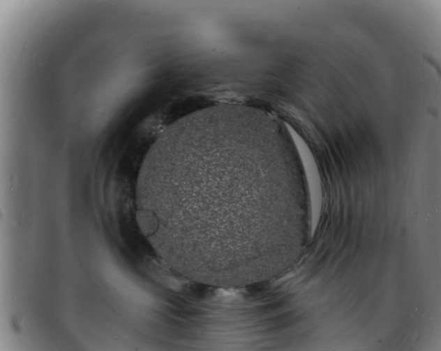 X0000096390573200801311324
