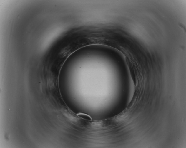 X0000096390574200801311324