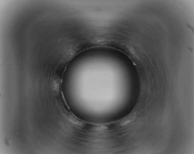 X0000096390576200801311324