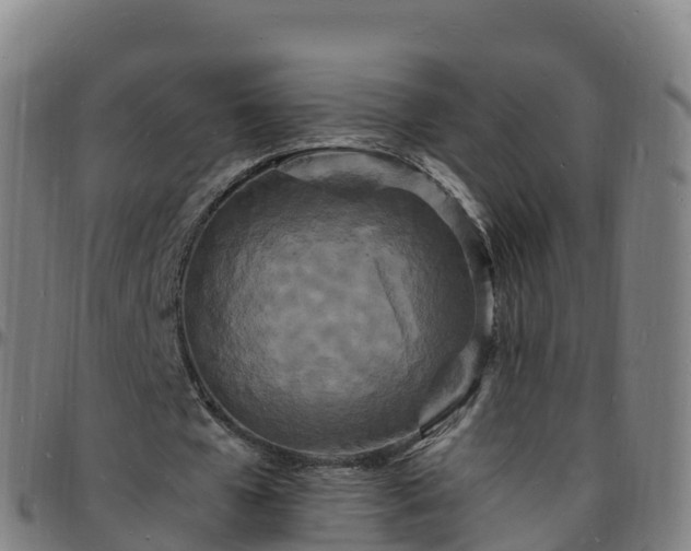X0000096390577200801311323