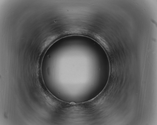 X0000096390578200801311323
