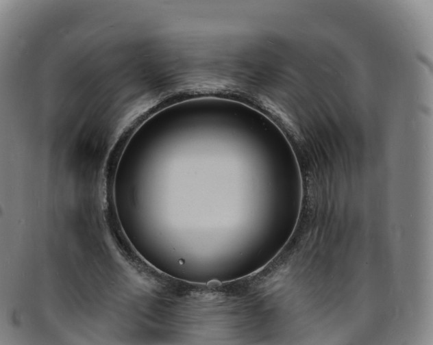 X0000096390582200801311323