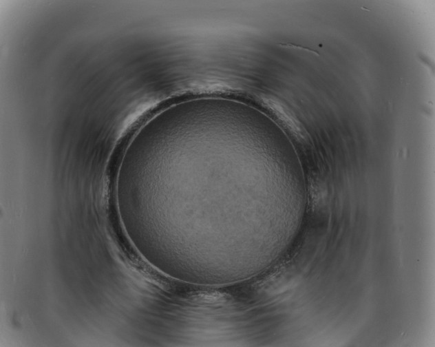 X0000096390583200801311323