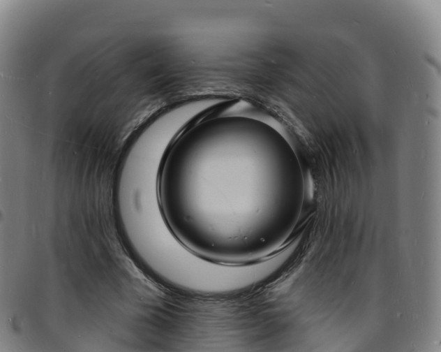 X0000096390585200801311323