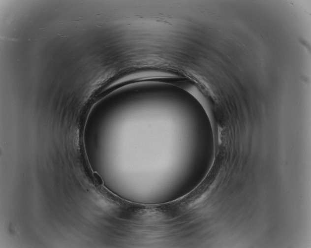 X0000096390589200801311323