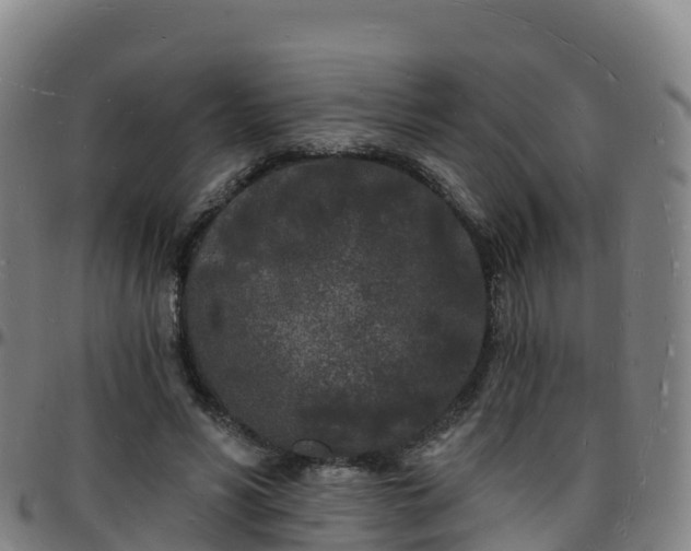 X0000096390590200801311323