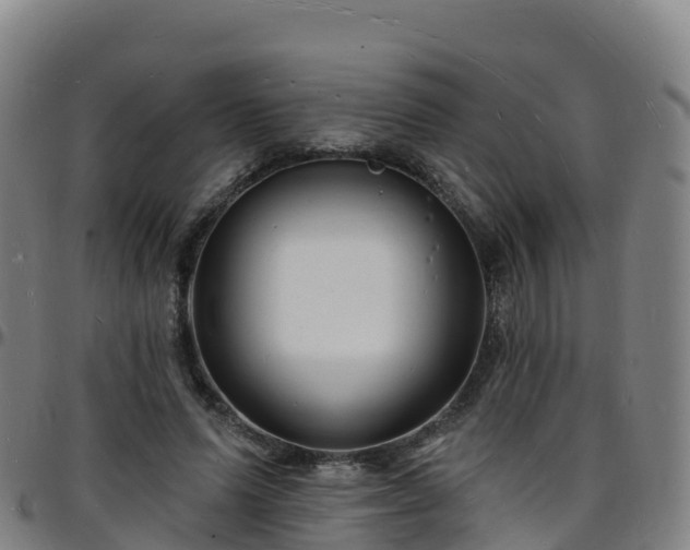 X0000096390591200801311323