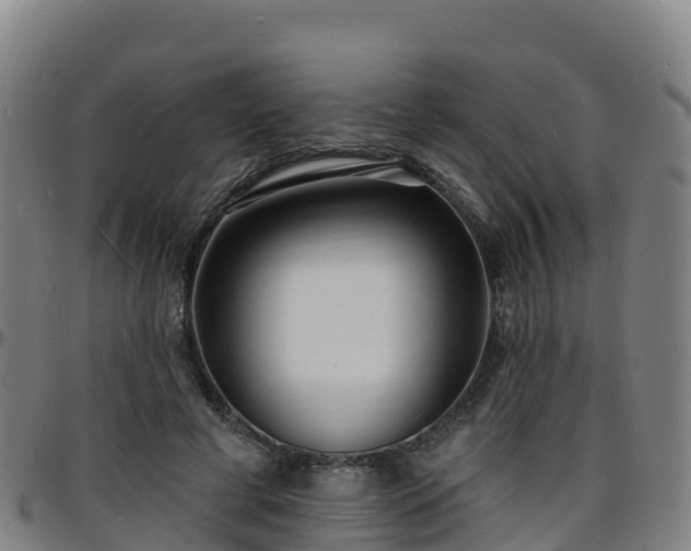 X0000096390593200801311323