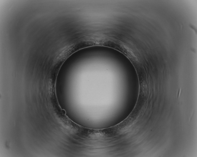 X0000096390594200801311323