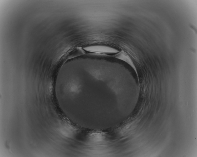 X0000096390595200801311323