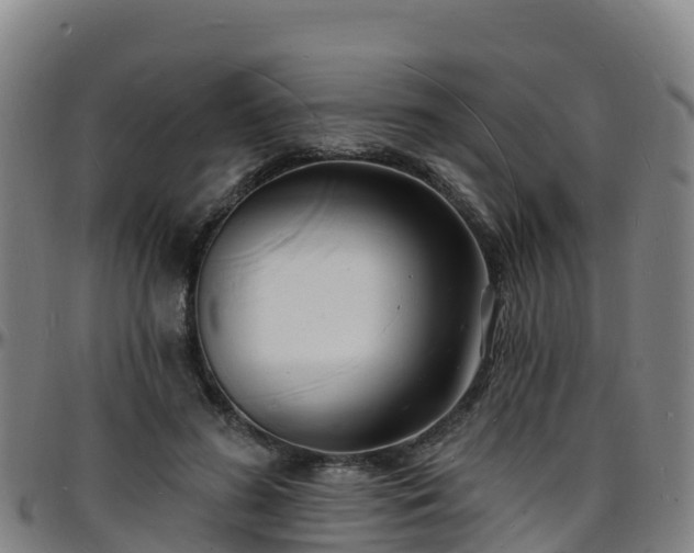 X0000096390596200801311323