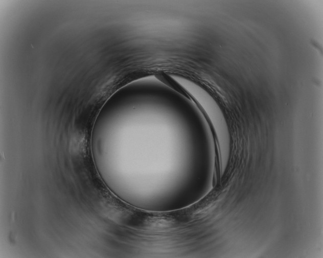 X0000096390597200801311323
