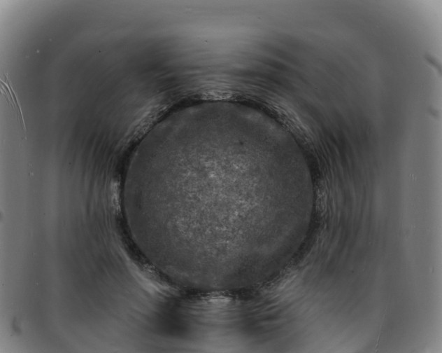X0000096390598200801311323