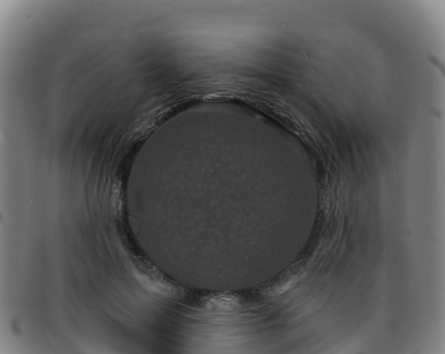 X0000096390599200801311323