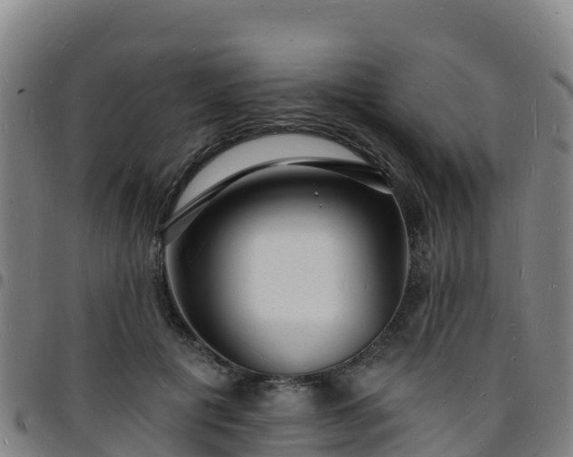 X0000096390601200801311323