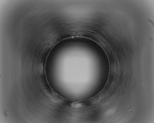 X0000096390602200801311323