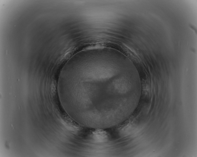 X0000096390603200801311323