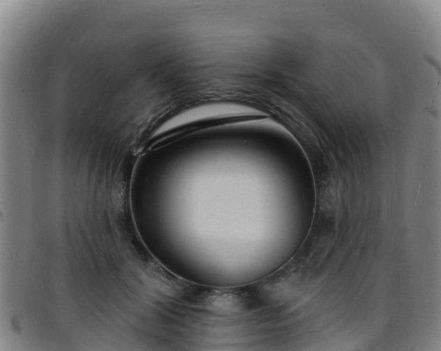 X0000096390604200801311323
