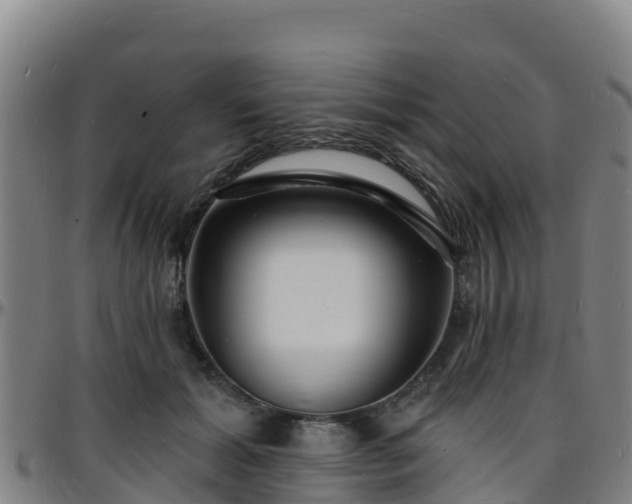 X0000096390605200801311323