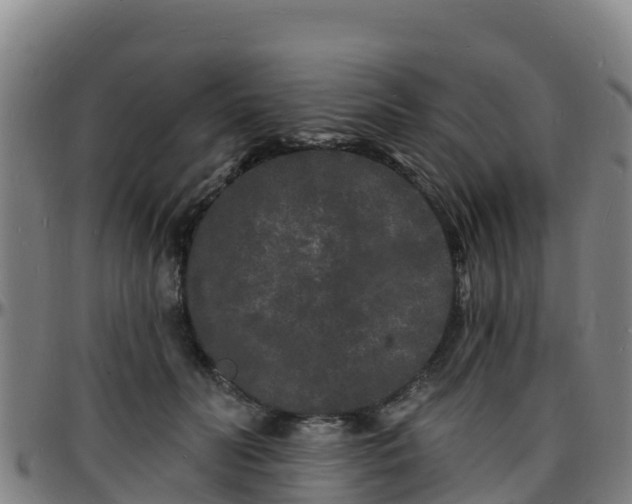 X0000096390606200801311322